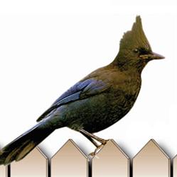 The Backyard Wildbird & Nature Store