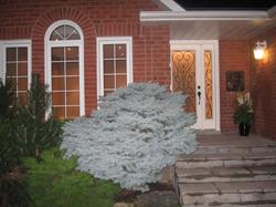 RHS Contracting Services