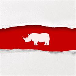 Rhino Wrap Alberta