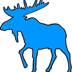 Blue Moose Youth Development