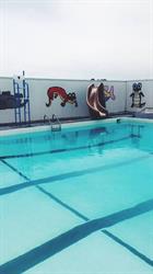 Foremost Swimming Pool