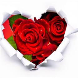 Turnbull Flowers Inc.