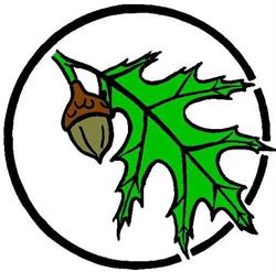 Acorn Wood Floors Ltd.