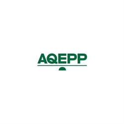 Association québécoise des ergothérapeutes en pratique privée