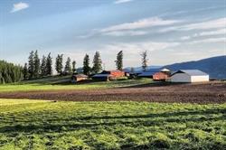 Neufeld's Hay Sales