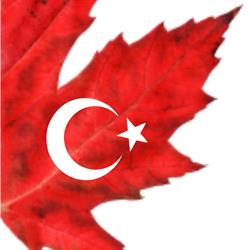 Kanada Türk ?slam Vakf? - Pape Cami