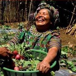 Project Harvest / Proyecto Cosecha