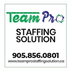 Team Pro Staffing Solution