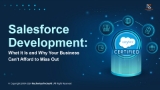 Salesforce Development What It Is and Why Your Business Cant Afford to Miss Out Salesforce Development What It Is and Why Your Business Cant Afford to Miss Out