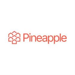Danielle Johnson - Pineapple