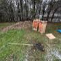 Yard cleanup (Leaf removal) Yard cleanup (Leaf removal)