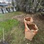Yard cleanup (Leaf removal) Yard cleanup (Leaf removal)