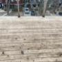 Deck cleaning (after) Deck cleaning (after)