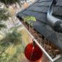 Gutter cleaning (before) Gutter cleaning (before)