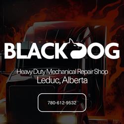 Black Dog Truck & Trailer Repair