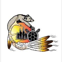 Association of Native Child and Family Services Agencies of Ontario (ANCFSAO)