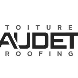 Toiture Audet 11456253 canada Inc.
