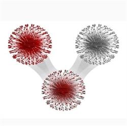 Network Immunology Inc.