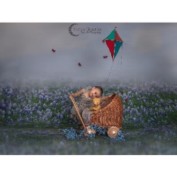 Sonia Gourlie Fine Art Photography