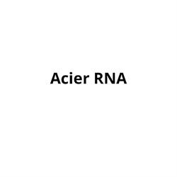 Acier RNA