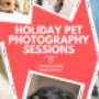 Seasonal pet photography with holiday props and decorations taken in a Vancouver studio. Seasonal pet photography with holiday props and decorations taken in a Vancouver studio.