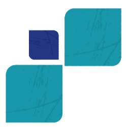 Icon website developments