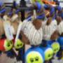 Pet Toys:
Everything for everyone's needs! Pet Toys:
Everything for everyone's needs!