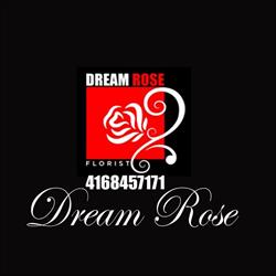 Dream Rose Florist
