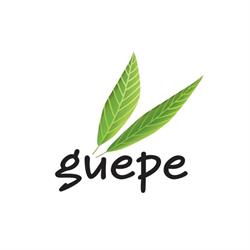 Guepe