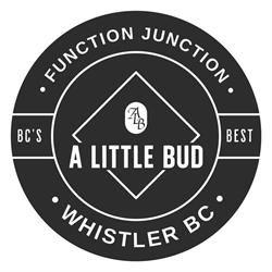 A Little Bud Whistler - Same Day Weed Delivery
