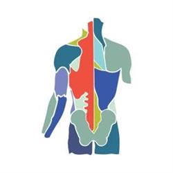 Momentum Therapy & Movement