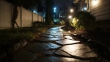 Landscaping Landscaping