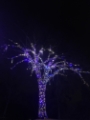 Landscape Lighting Landscape Lighting