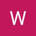 WDswim club